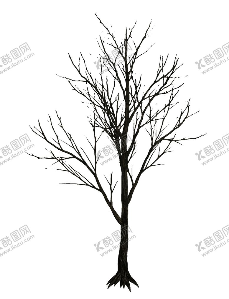 编号：30898007060009218494【酷图网】源文件下载-透明大树png素材
