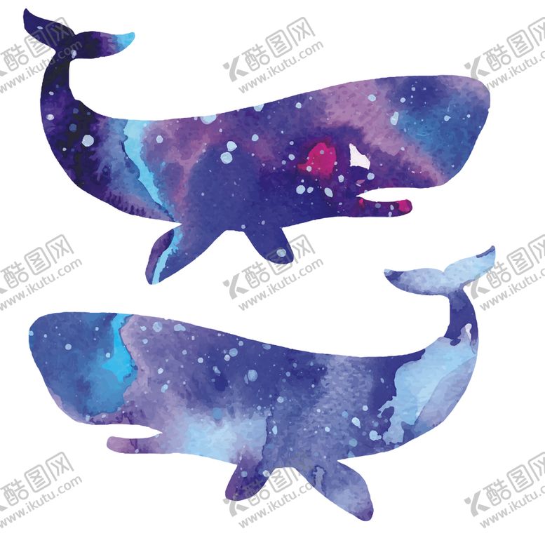 炫彩渐变鲸鱼图案动物色海豚