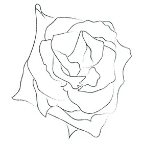 线描花矢量植物条条卉白