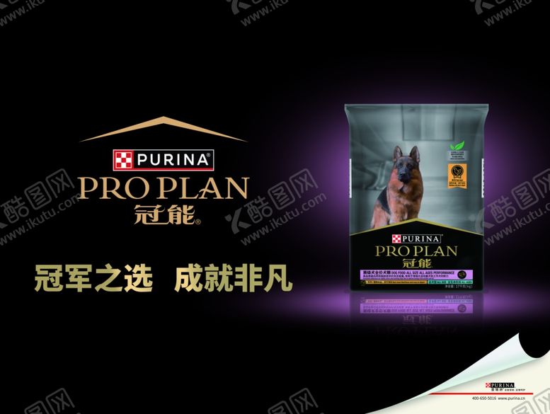 编号：29096202251844454370【酷图网】源文件下载-狗粮海报