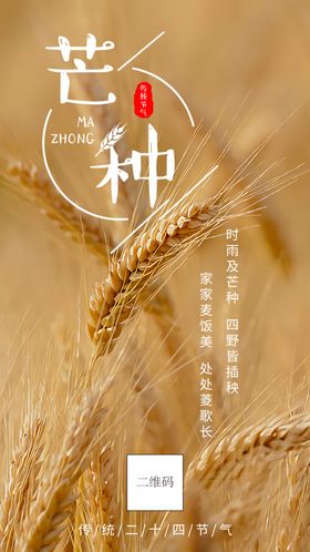 芒种芒种海报二十四节气