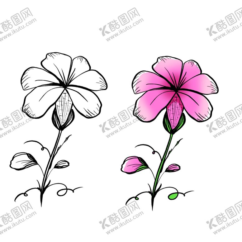 编号：93001909231923264086【酷图网】源文件下载-手绘牵牛花