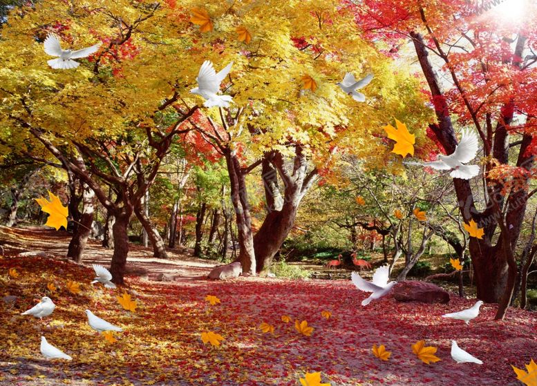 编号：14533510062027106599【酷图网】源文件下载-枫树