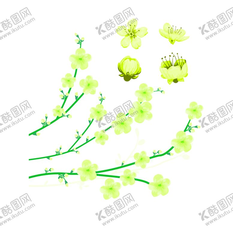 编号：43024210301400413131【酷图网】源文件下载-花素材