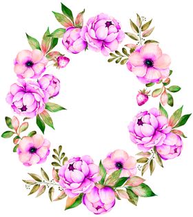 鲜花素材