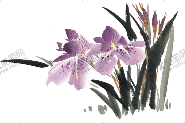 编号：38633709252037071814【酷图网】源文件下载-古典中国画兰花