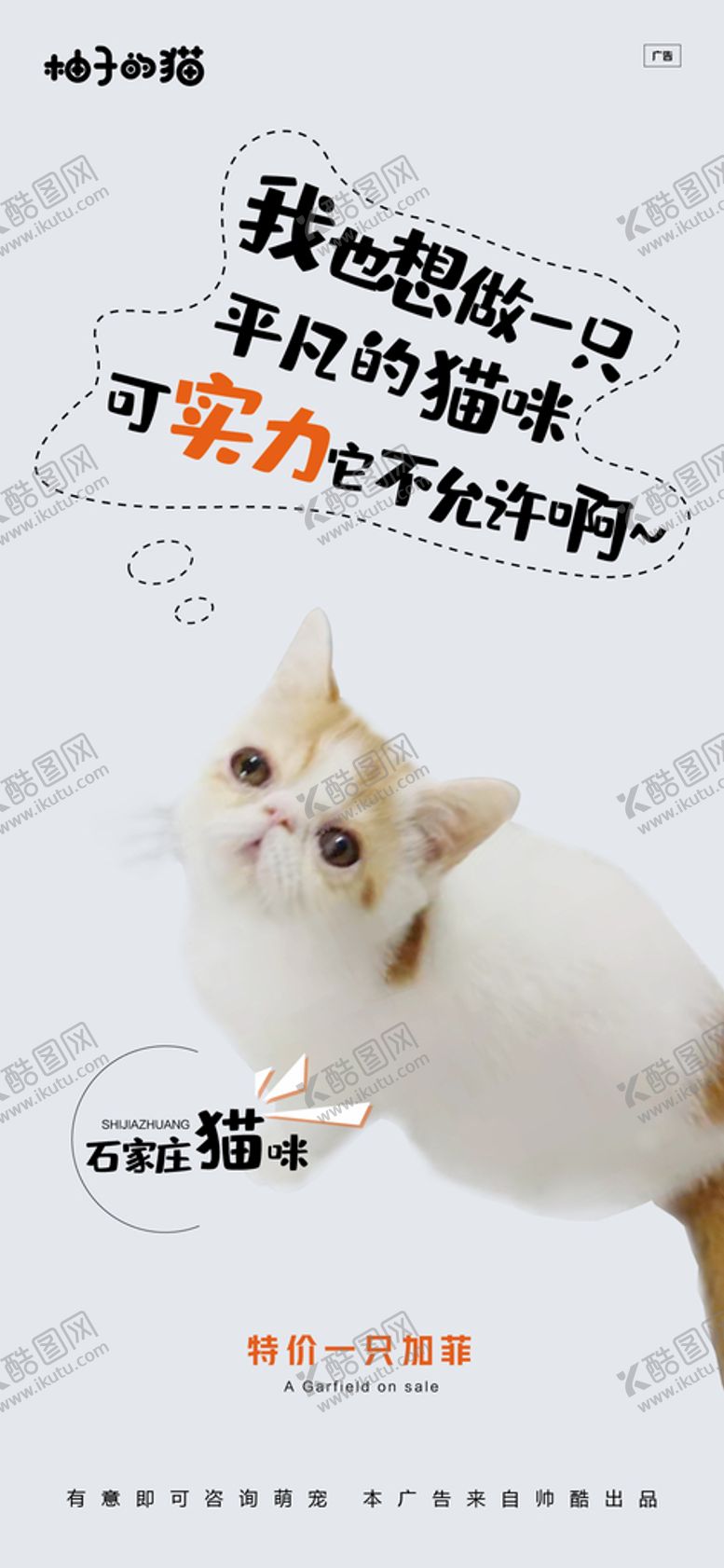 编号：16197310160032396630【酷图网】源文件下载-宠物活动海报