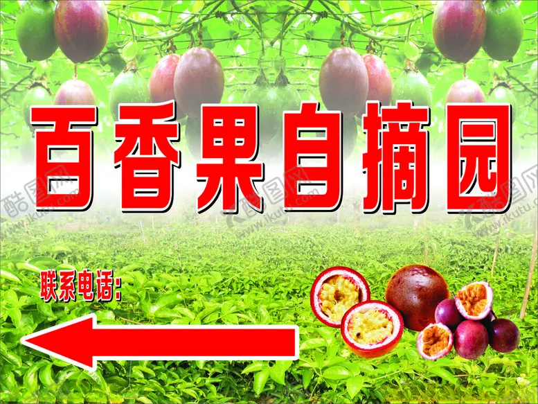 编号：71469601131528276770【酷图网】源文件下载-百香果自摘园