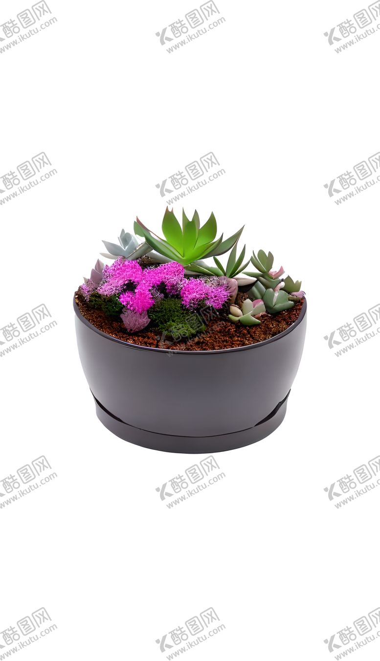 编号：86307401211109091780【酷图网】源文件下载-多肉盆栽植物免抠元素