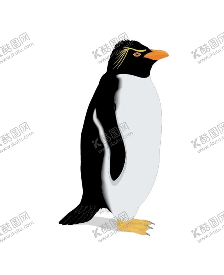 编号：35024909210553580589【酷图网】源文件下载-企鹅