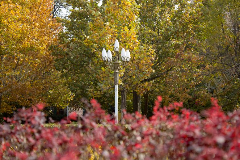 编号：51986210141101347709【酷图网】源文件下载-路灯