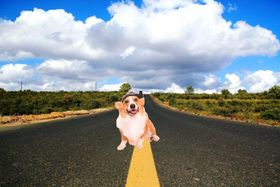 荧光大道
