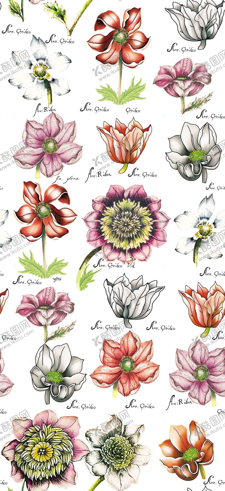 编号：75429309202020194137【酷图网】源文件下载-小花朵各种花