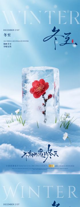 大寒小寒节气梅花冰封系列海报