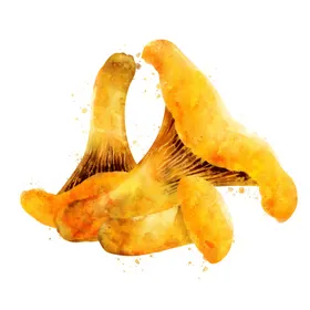 手绘彩色蔬菜免扣素材图片