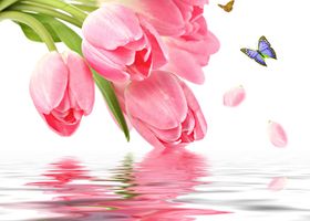 牵牛花装饰画蜜蜂小清晰
