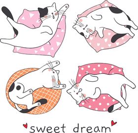 卖萌的猫咪