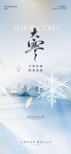 大寒雪花花瓣城市剪影节气海报
