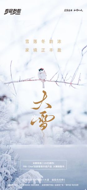 大雪节气海报