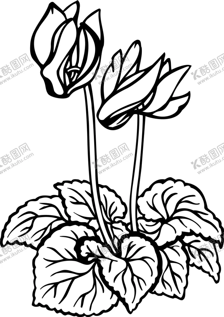 编号：71392809190536027642【酷图网】源文件下载-黑白手绘植物    