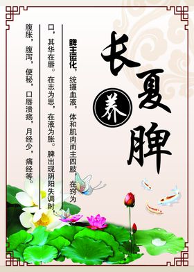 夏季养生展板