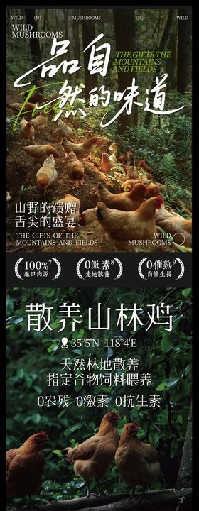 赣南美食散养土鸡海报