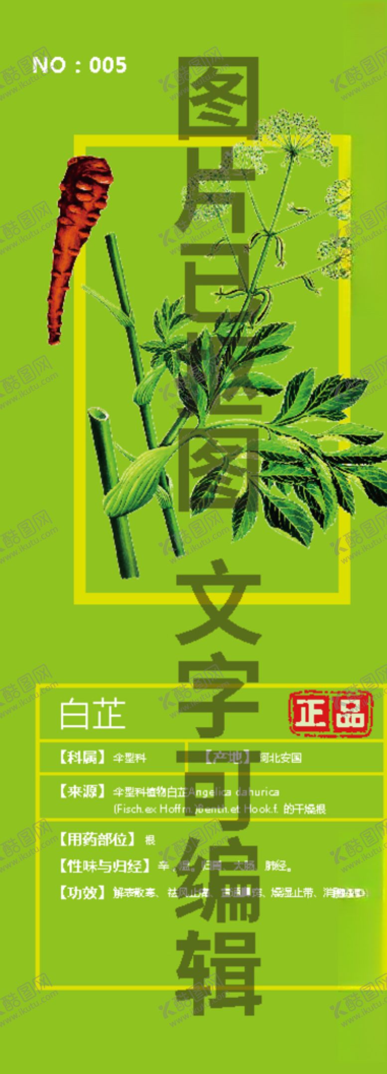 编号：48382604282019389172【酷图网】源文件下载-白芷