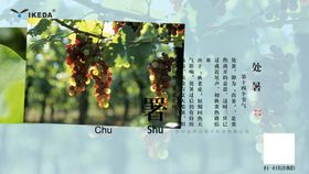 处暑二十四节气介绍