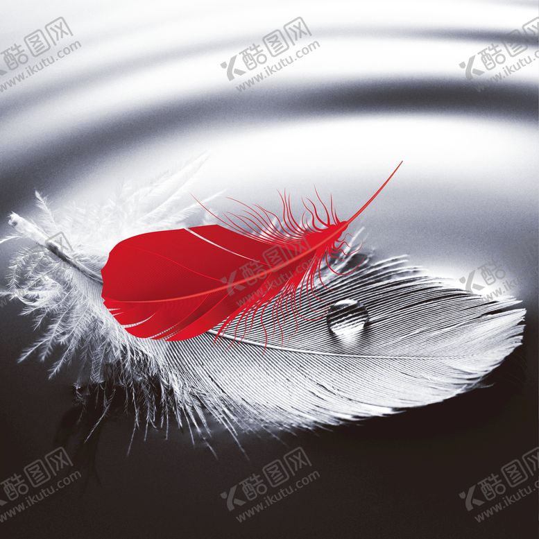 编号：05294110071521485713【酷图网】源文件下载-轻奢装饰画 红色羽毛
