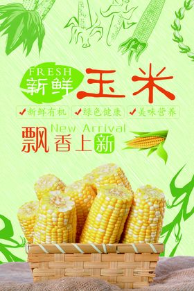 玉米海报