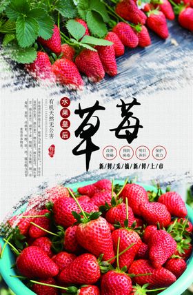 采摘草莓海报