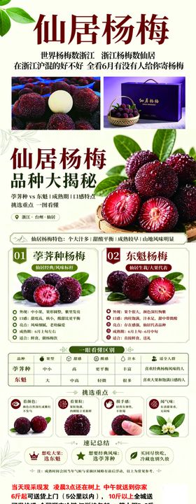 优质杨梅新鲜美味上市