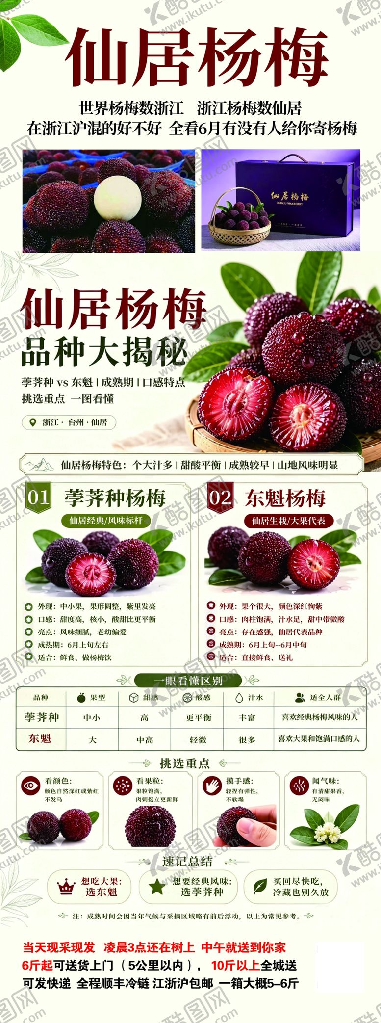 编号：12476306052045567202【酷图网】源文件下载-优质杨梅新鲜美味上市