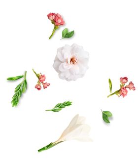 花草