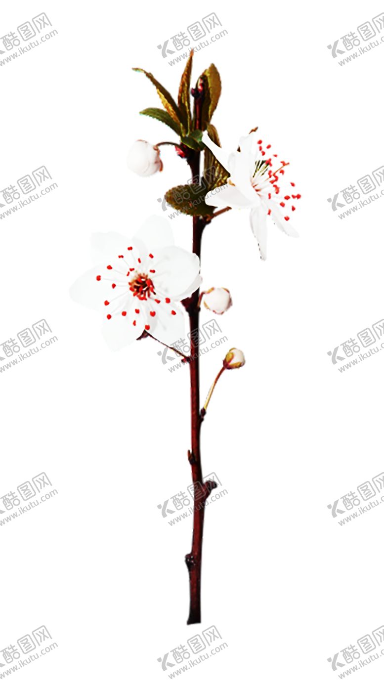 编号：13203009221118099775【酷图网】源文件下载-浪漫素材