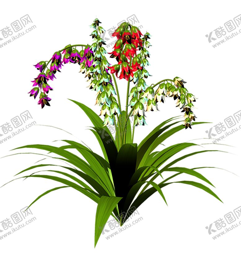 编号：92930409250359064085【酷图网】源文件下载-鲜花素材