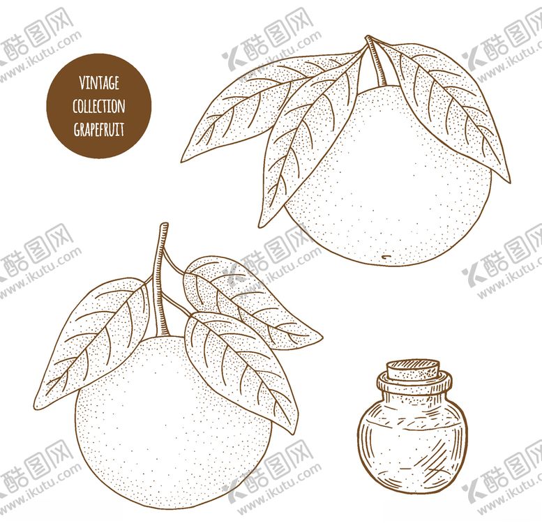 编号：72807210290823046090【酷图网】源文件下载-植物线稿