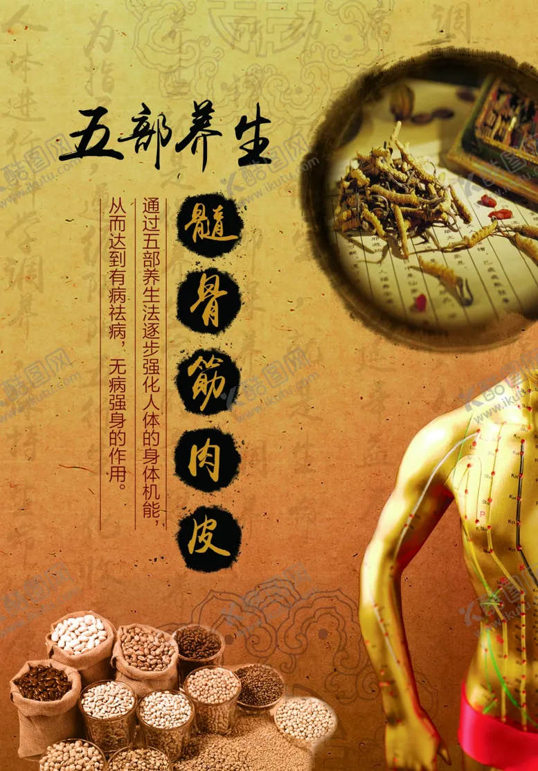 编号：29151005241102024674【酷图网】源文件下载-中医养生五谷养生海报