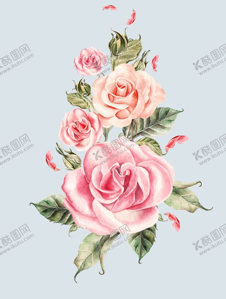 编号：91781911280509325771【酷图网】源文件下载-玫瑰花