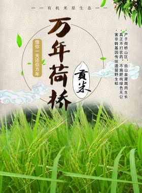 贡米宣传页