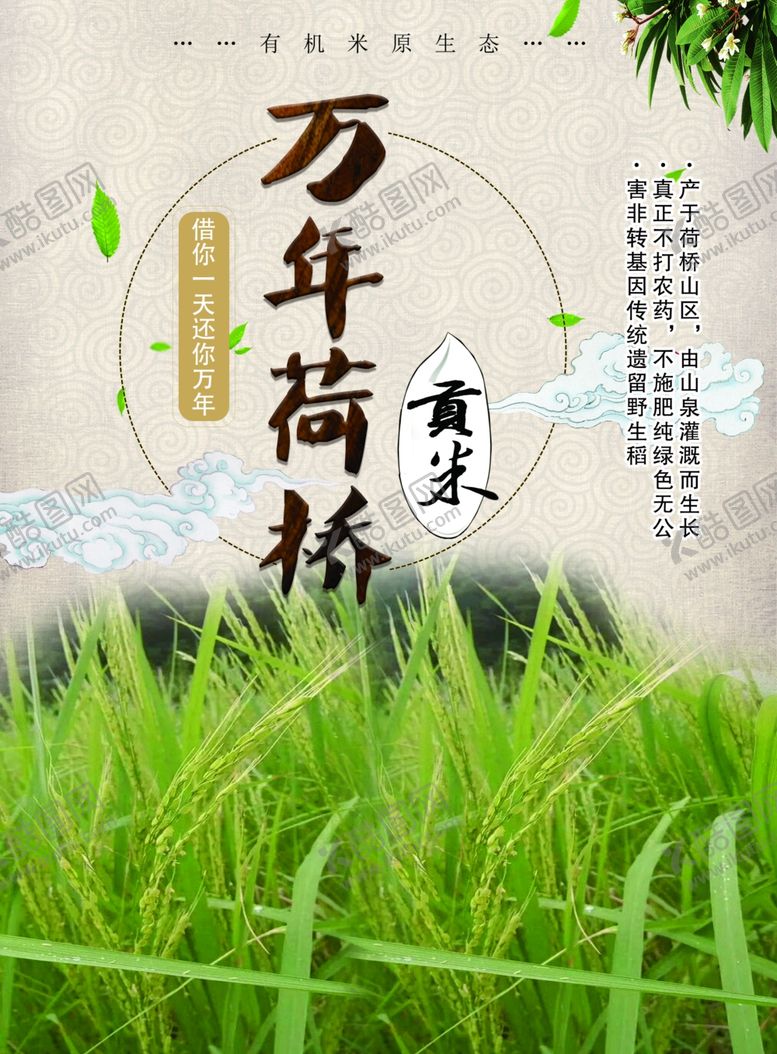 编号：42366006181809014295【酷图网】源文件下载-贡米宣传页