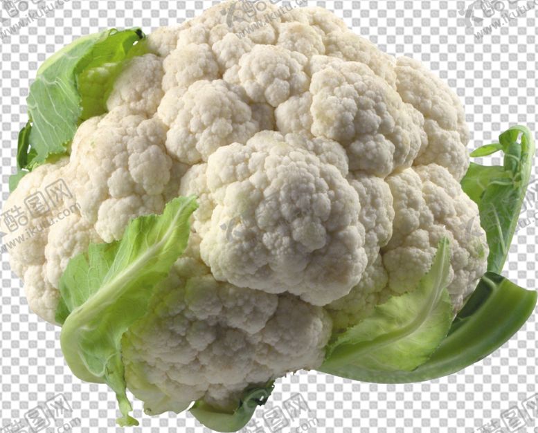 编号：64071809200703476980【酷图网】源文件下载-花菜