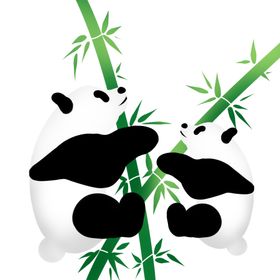 熊猫抱竹