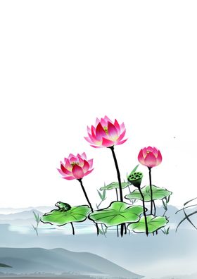 荷花