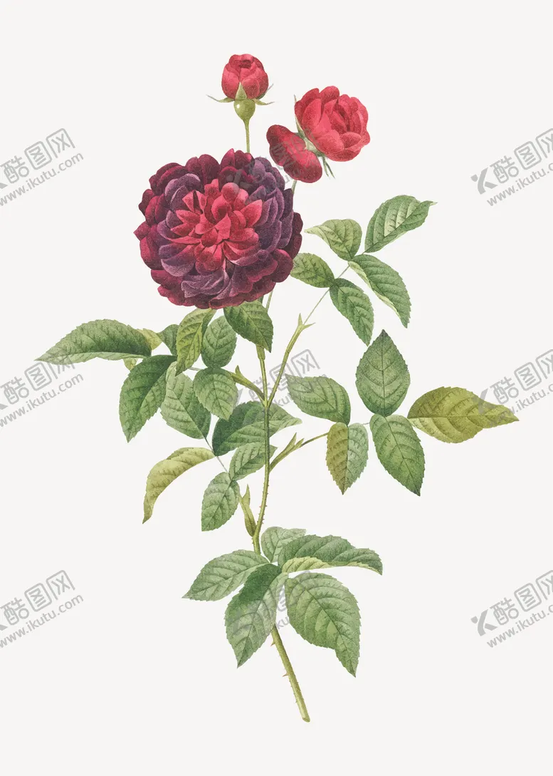 编号：22325207020808455204【酷图网】源文件下载-花纹