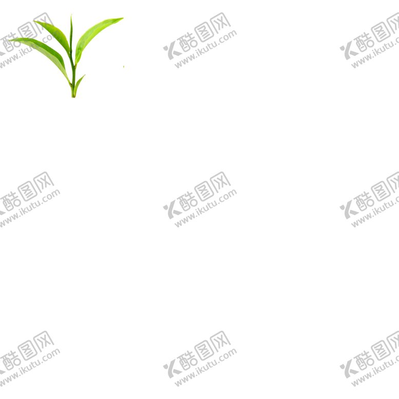 编号：71123910031841044410【酷图网】源文件下载-绿色植物