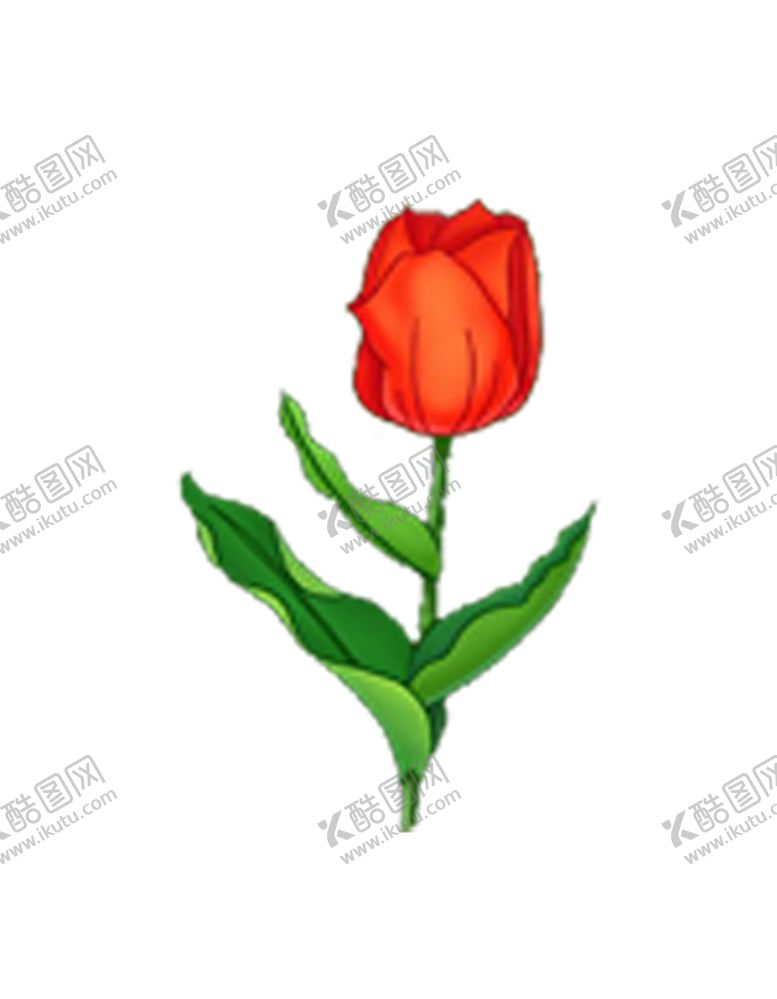 编号：94255007031240162529【酷图网】源文件下载-绿色相框