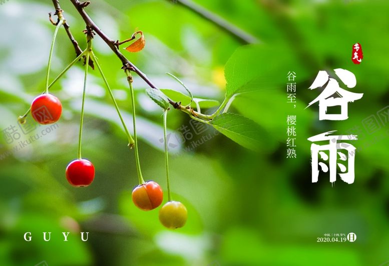 编号：94447909190803156805【酷图网】源文件下载-谷雨海报传统节气红樱桃