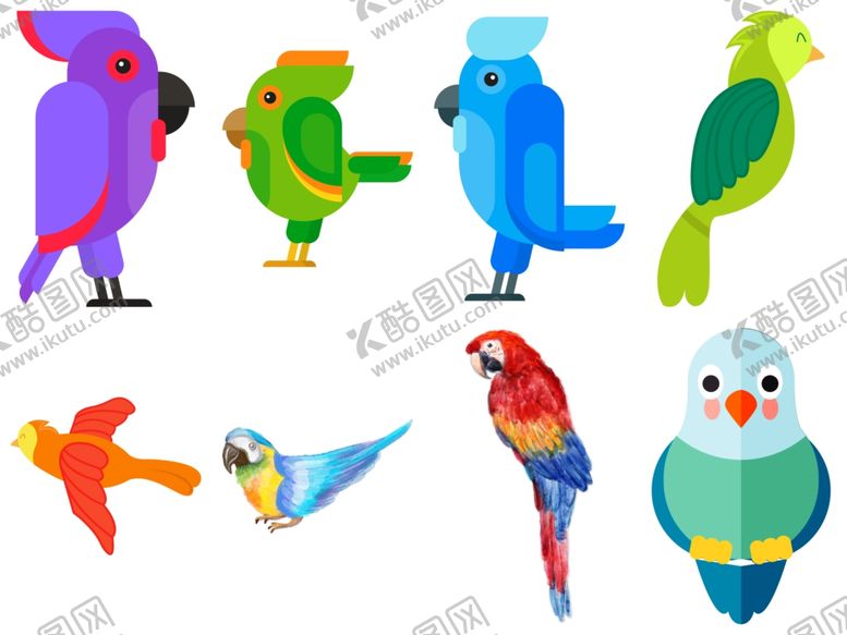 编号：58406309151516386312【酷图网】源文件下载-鹦鹉
