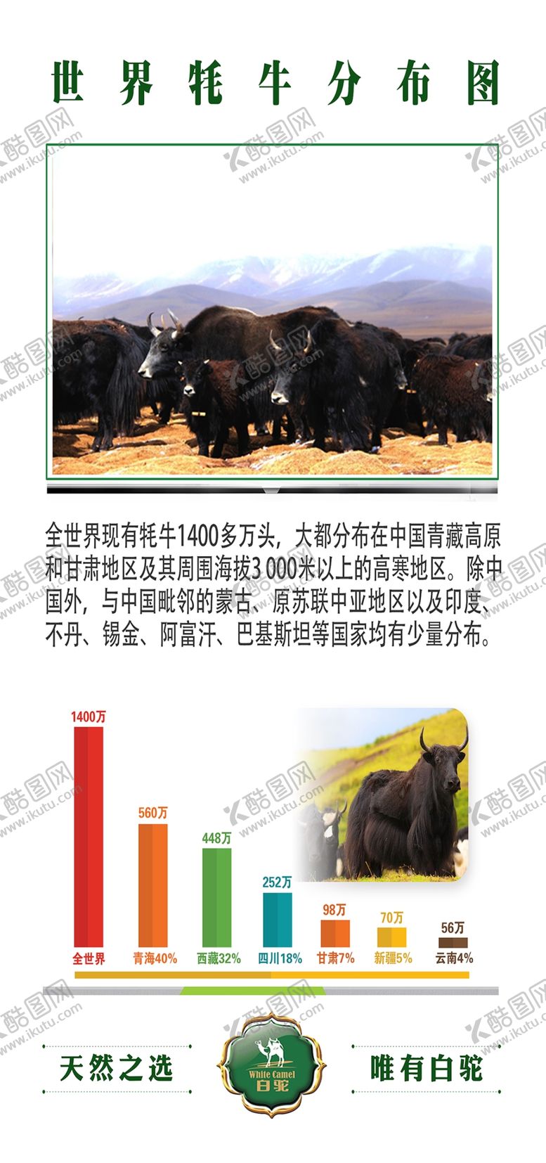 编号：82476309170755087342【酷图网】源文件下载-牦牛分布图展板